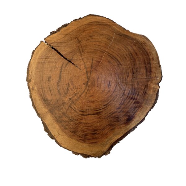 Tree Cutting Board - Image 2