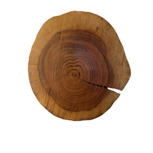 Tree Cutting Board