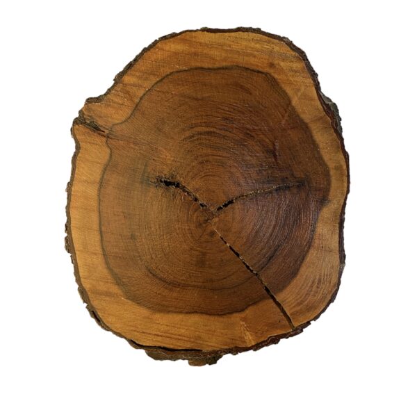 Tree Cutting Board - Image 2