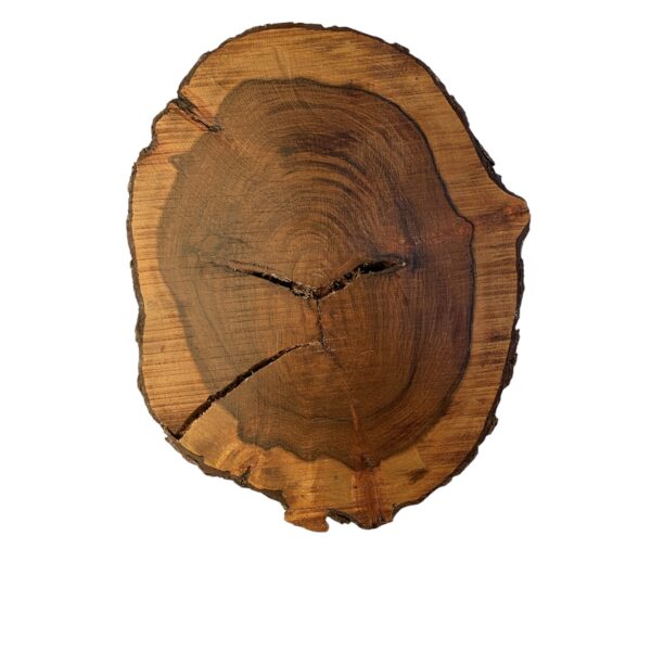 Tree Cutting Board